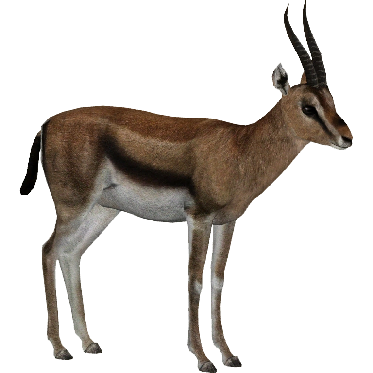 岩渕隆二のコブSpecial Lesson GZXCOWAN