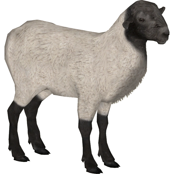 Live Food Sheep (Tamara Henson & WorkowatyWilczek) | ZT2 Download