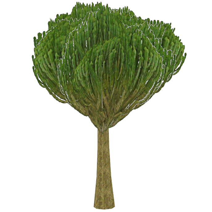 Candelabra Tree (NanoLancensis) ZT2 Download Library Wiki Fandom