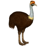 Upland Moa (Austroraptor & Jannick)