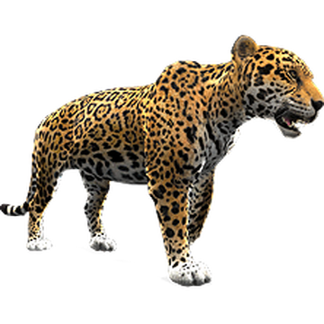 Cape Mountain Zebra (DRAGON-unit911) | ZT2 Download Library