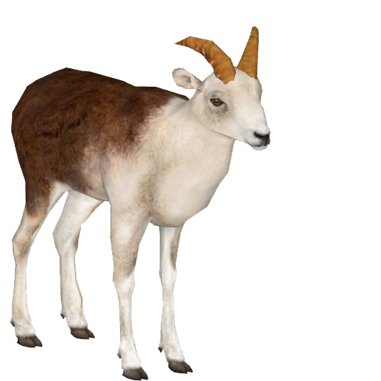 Marco Polo Sheep (Tamara Henson) | ZT2 Download Library Wiki | Fandom