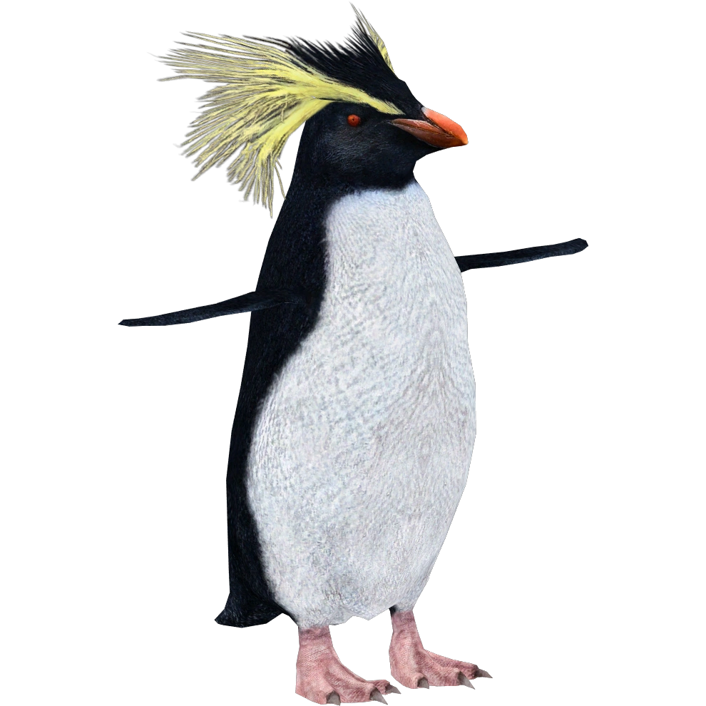 latest?cb=20210319233357