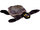 Yellow-Spotted Amazon River Turtle (Mika & Penguinman)