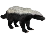 Ratel (Aurora Designs) (39 KB) Ratel (Aurora Designs)