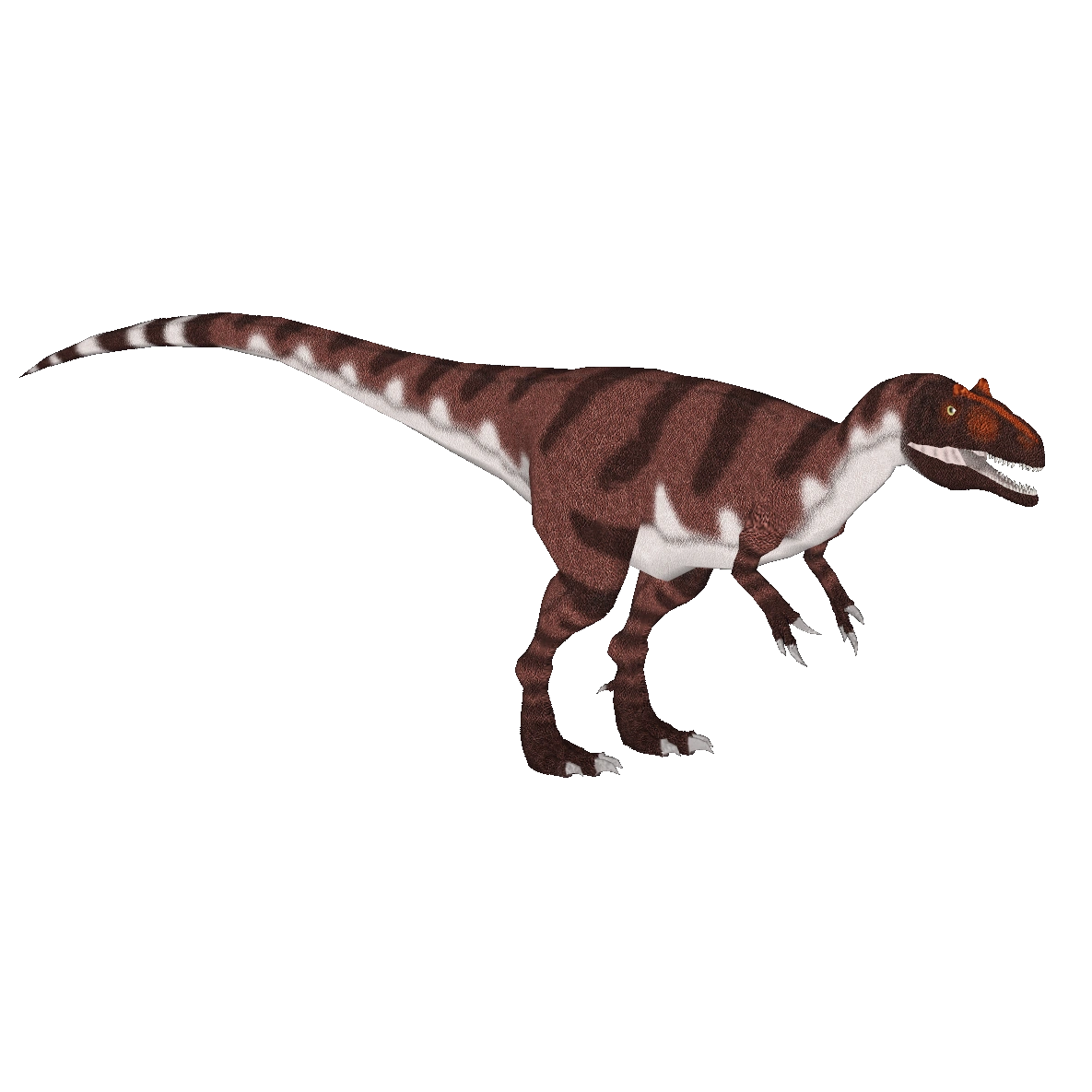 Saurophaganax (PrimevalRaptor) | ZT2 Download Library Wiki | Fandom