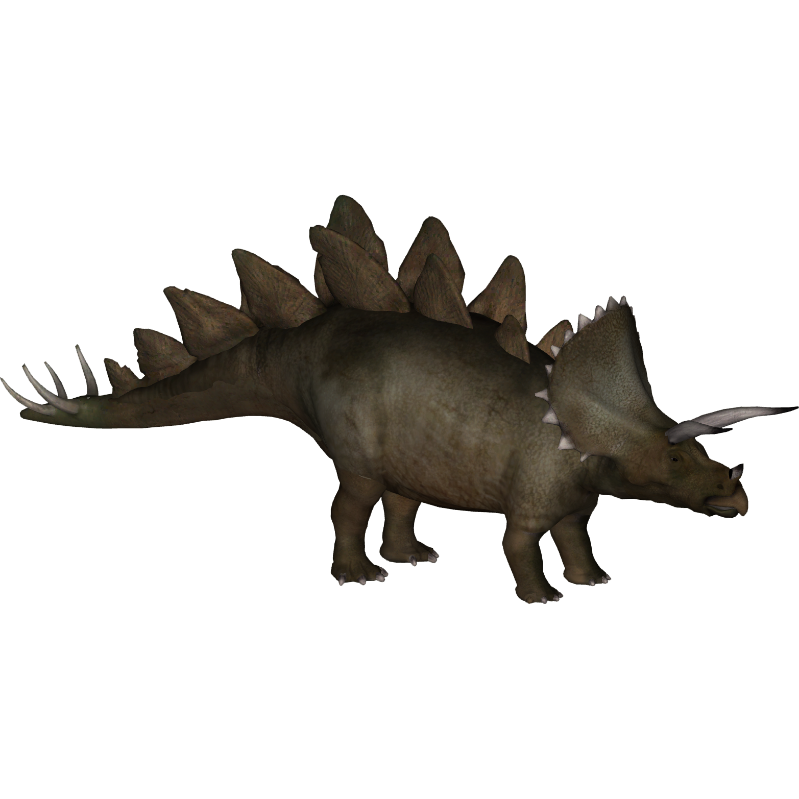 Stegoceratops (Zoo Tycoon 2 Thailand)/Version 1 | ZT2