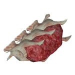 Rack of Ribs (Okeanos)