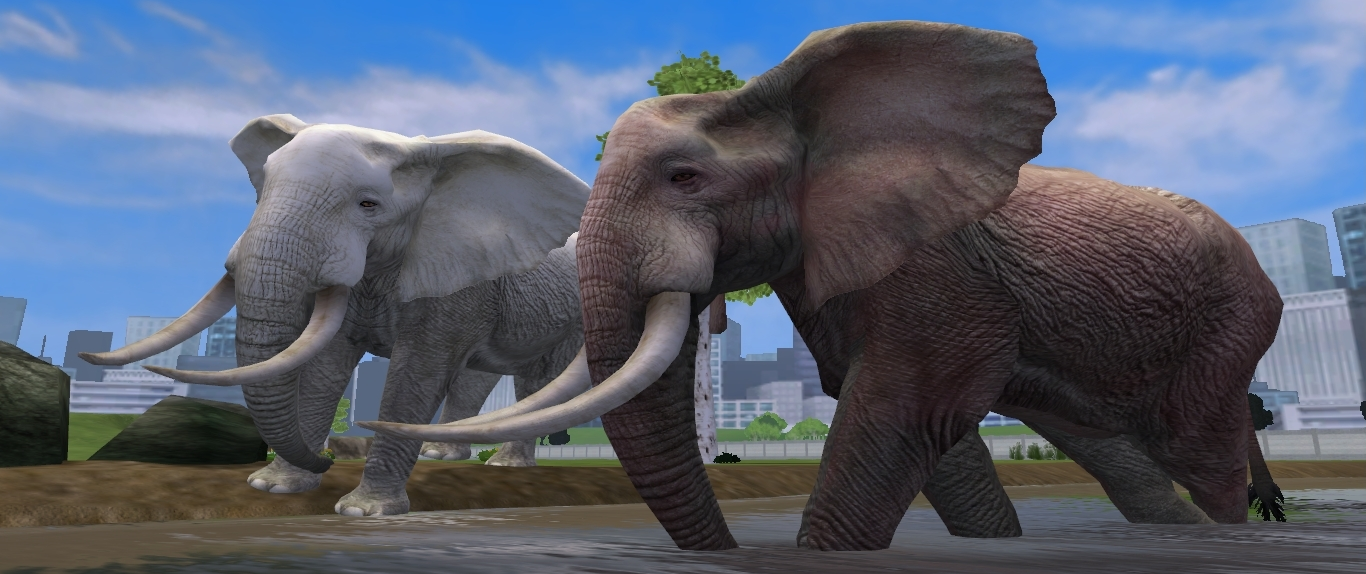 2024年ファッション福袋 African Bush Elephant (Aurora Designs) | ZT2 Download 語学・辞書・学習参考書