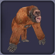 Gigantopithecus