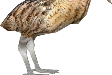 Galapagos Penguin (DutchDesigns) | ZT2 Download Library Wiki