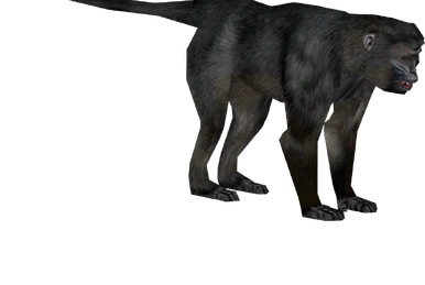 ■The Nymph  ～Blue Dun～（ザ ニンフ ブルーダン）　27年 220px-Jacket357.png