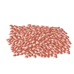 Rimu Berries (ZTABC Team)