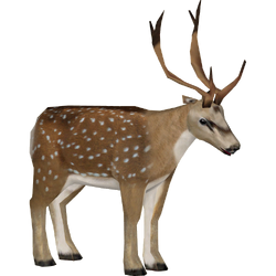 Category:Old World Deer | ZT2 Download Library Wiki | Fandom
