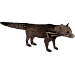 Malayan Civet (DutchDesigns)