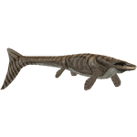 Platecarpus (Okeanos)