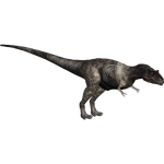 Albertosaurus (Royboy407)