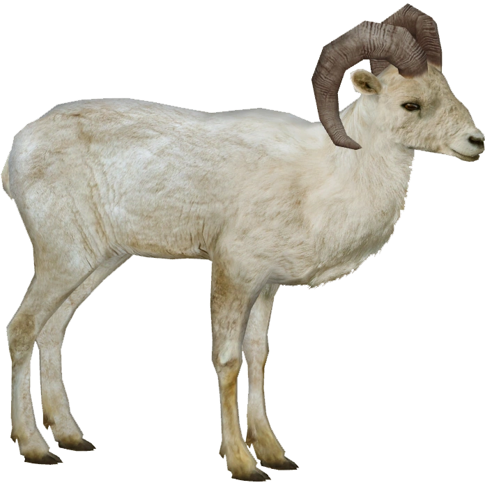 latest?cb=20201119202632