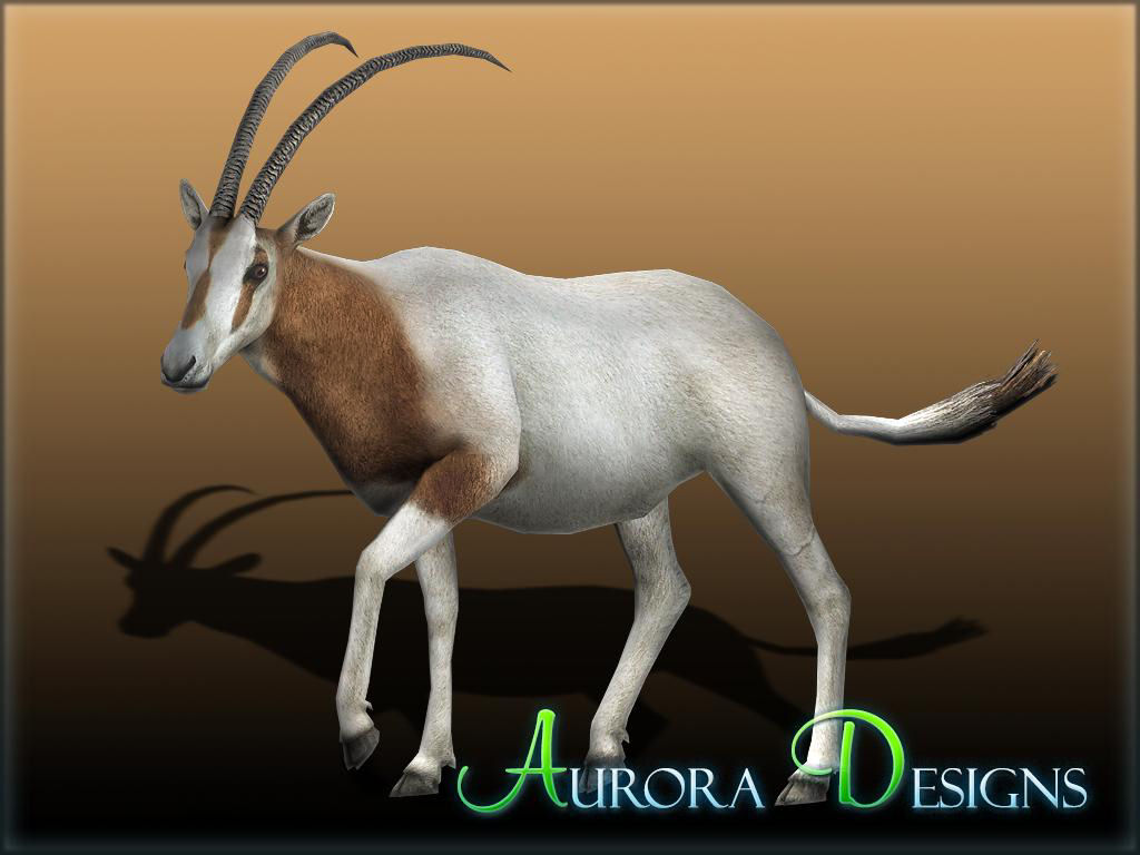 Arabian Oryx (Bonus Download) at Zoo Tycoon 2 Nexus - Mods and community