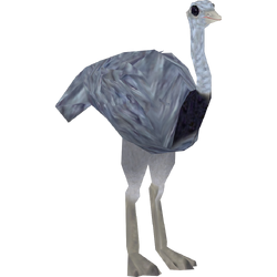 emu roblox item