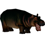 Malagasy Dwarf Hippopotamus (Dinosaur)