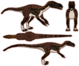 Stokesosaurus (Bunyupy) | ZT2 Download Library Wiki | Fandom