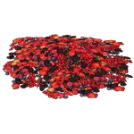 Wild Berries (Ulquiorra)
