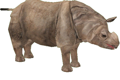 Indian Rhinoceros/Gallery - Japari Library, the Kemono Friends Wiki