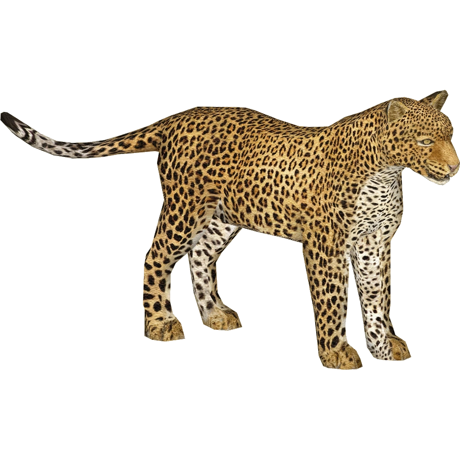 African Leopard (Mayer) | ZT2 Download Library Wiki | Fandom