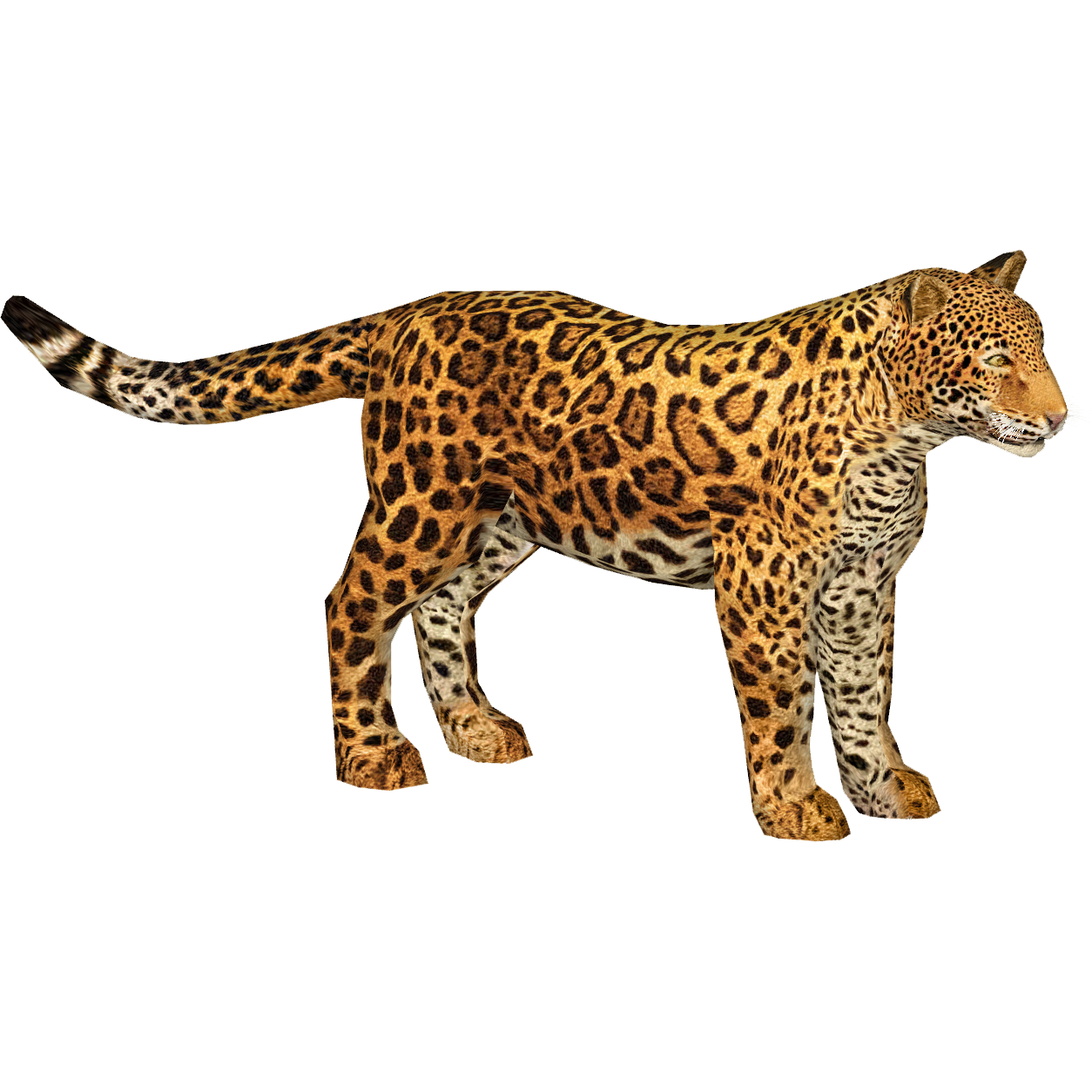 Jaguar (Mayer) | ZT2 Download Library Wiki | Fandom