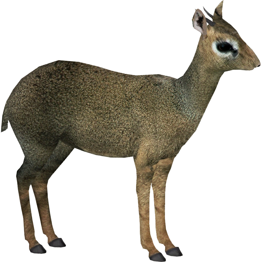 latest?cb=20201101195609