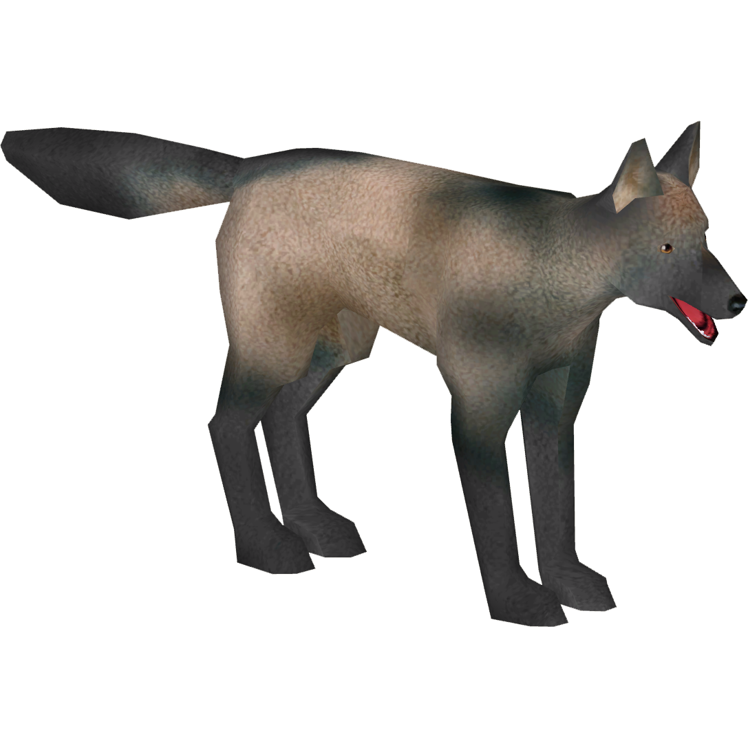 Small Eared Zorro (Mika & Penguinman) | ZT2 Download Library