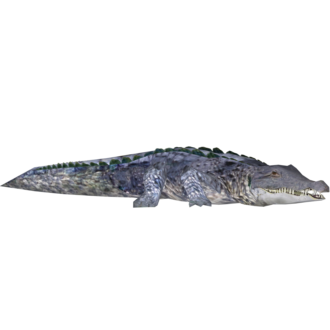 Mojo Wildlife Crocodile with Moving Jaw - 387162 | Thimble Toys