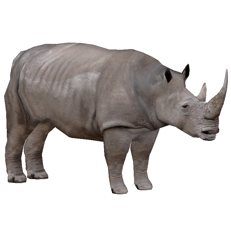 Northern White Rhinoceros (Robert) | ZT2 Download Library Wiki | Fandom