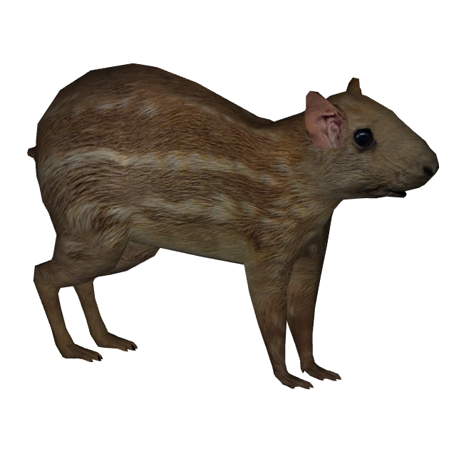 Paca (RGDS & Scott) | ZT2 Download Library Wiki | Fandom