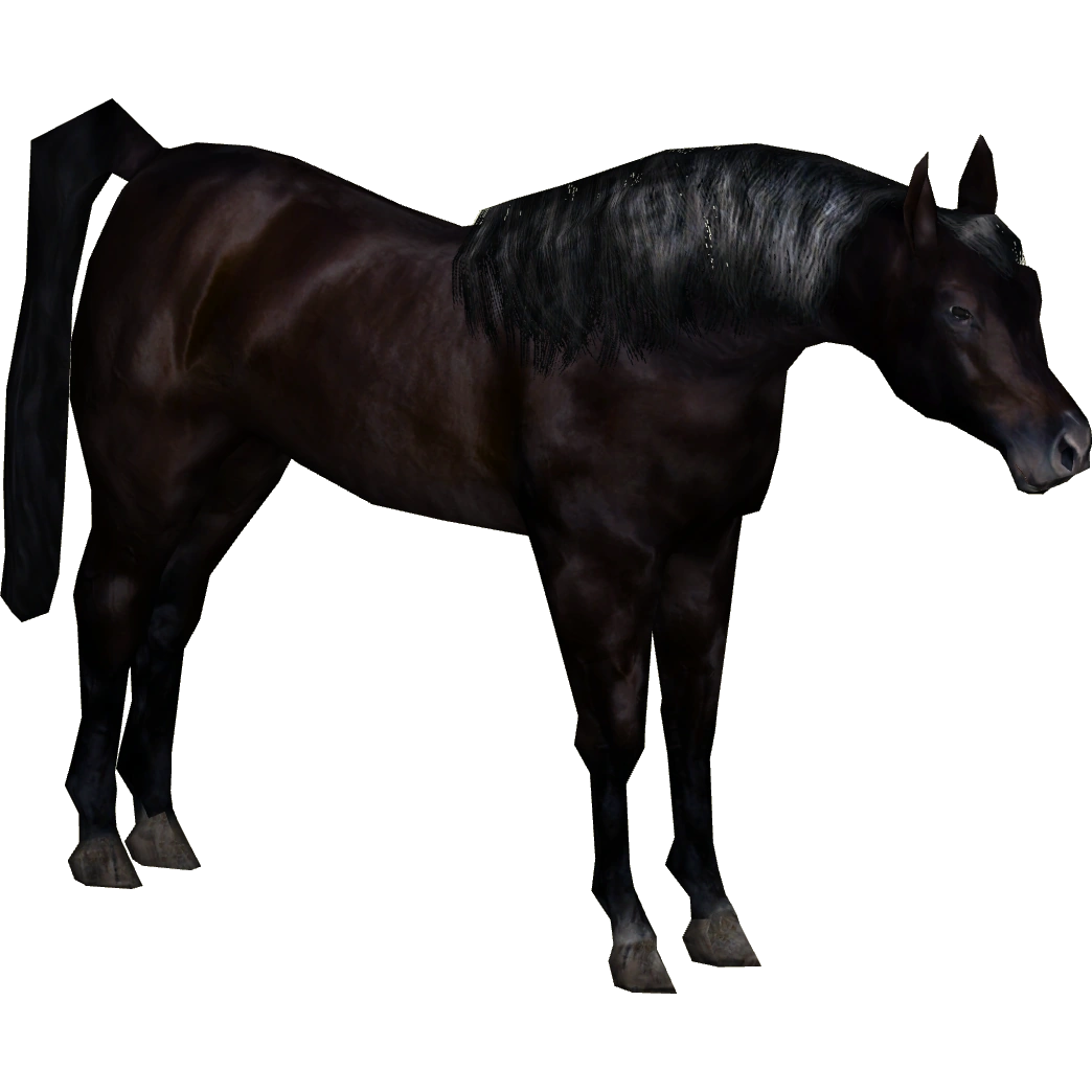 Arabian Horse (RiasCreations) | ZT2 Download Library Wiki | Fandom
