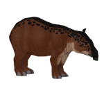 Dwarf Tapir (ECR Designing Team)