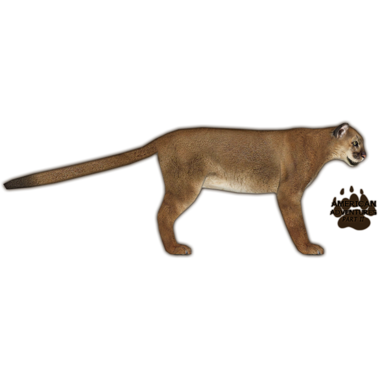Mountain Lion (Eryel & JimmyzHoopz) | ZT2 Download Library