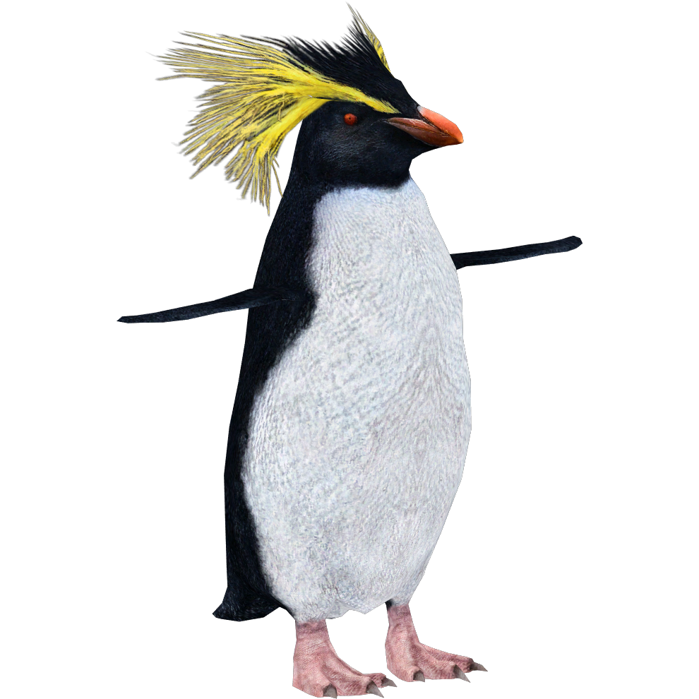 Emperor Penguin and Baby Chick / 8