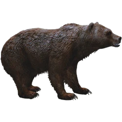 Category:Bears | ZT2 Download Library Wiki | Fandom