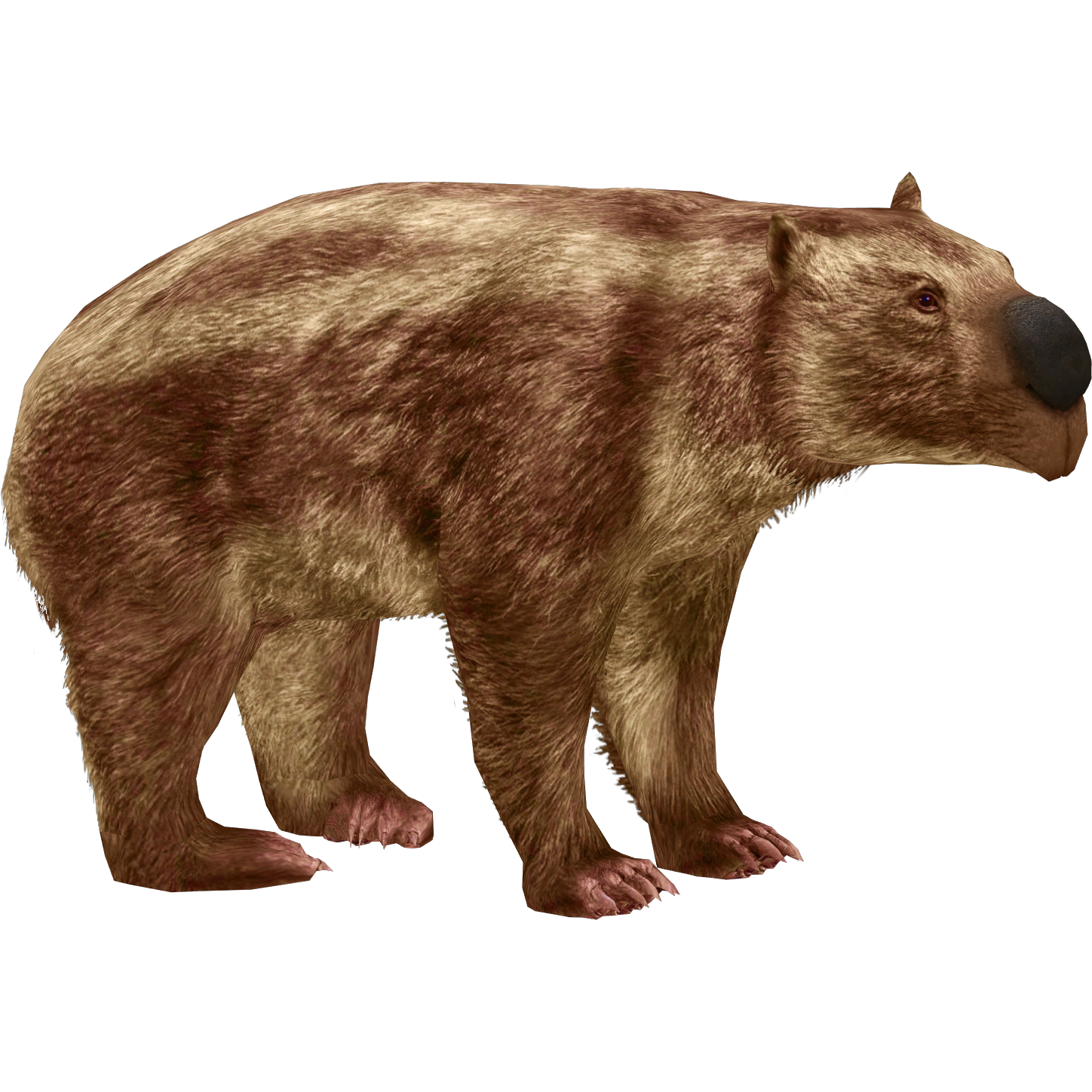 Toxodon platensis, ZT2 Download Library Wiki