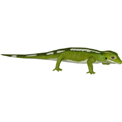 Category:Temperate Rainforest Animals | ZT2 Download Library Wiki | Fandom Category:Temperate Rainforest Animals | ZT2 Download Library Wiki | Fandom