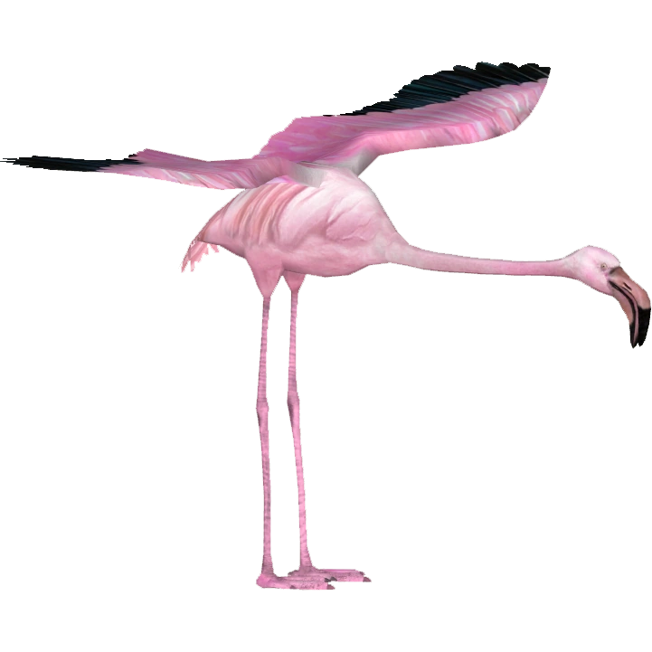 Giant Flamingo (Tamara Henson) | ZT2 Download Library Wiki | Fandom