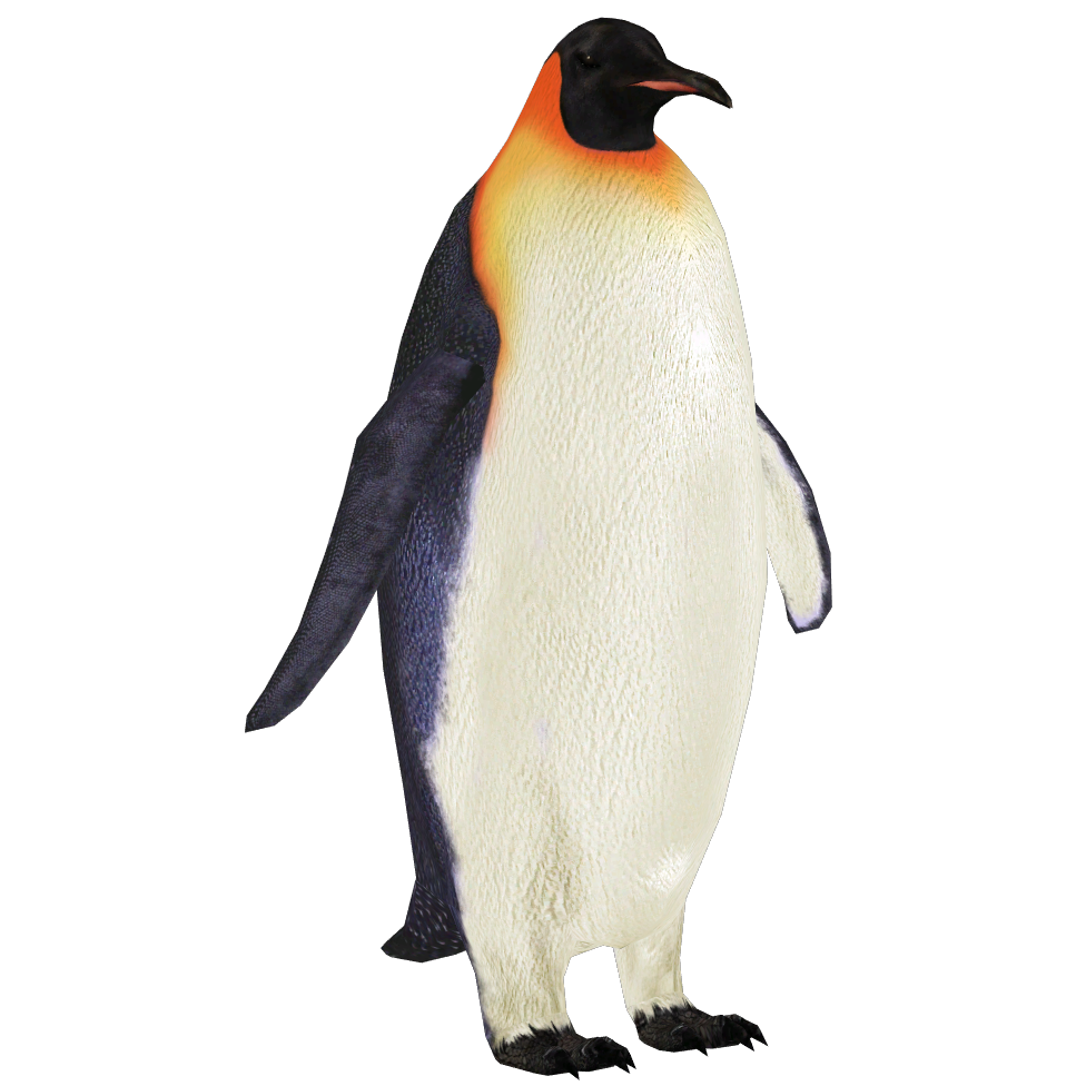 Walking Penguin Box of 12 Random Figures