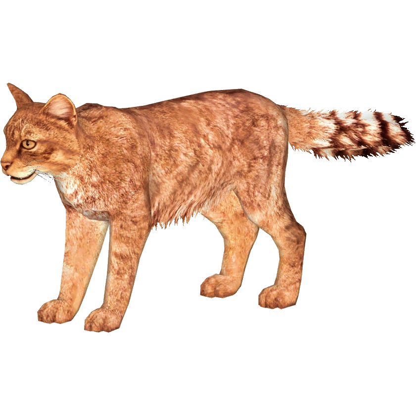 European Wildcat (HENDRIX) | ZT2 Download Library Wiki | Fandom