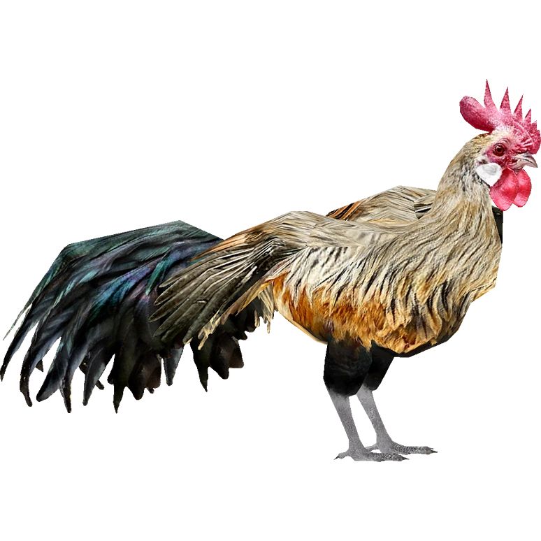 Chicken (ZTABC Team) | ZT2 Download Library Wiki | Fandom