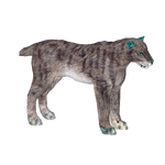 Scimitar Cat (Tyranachu)/Version 1