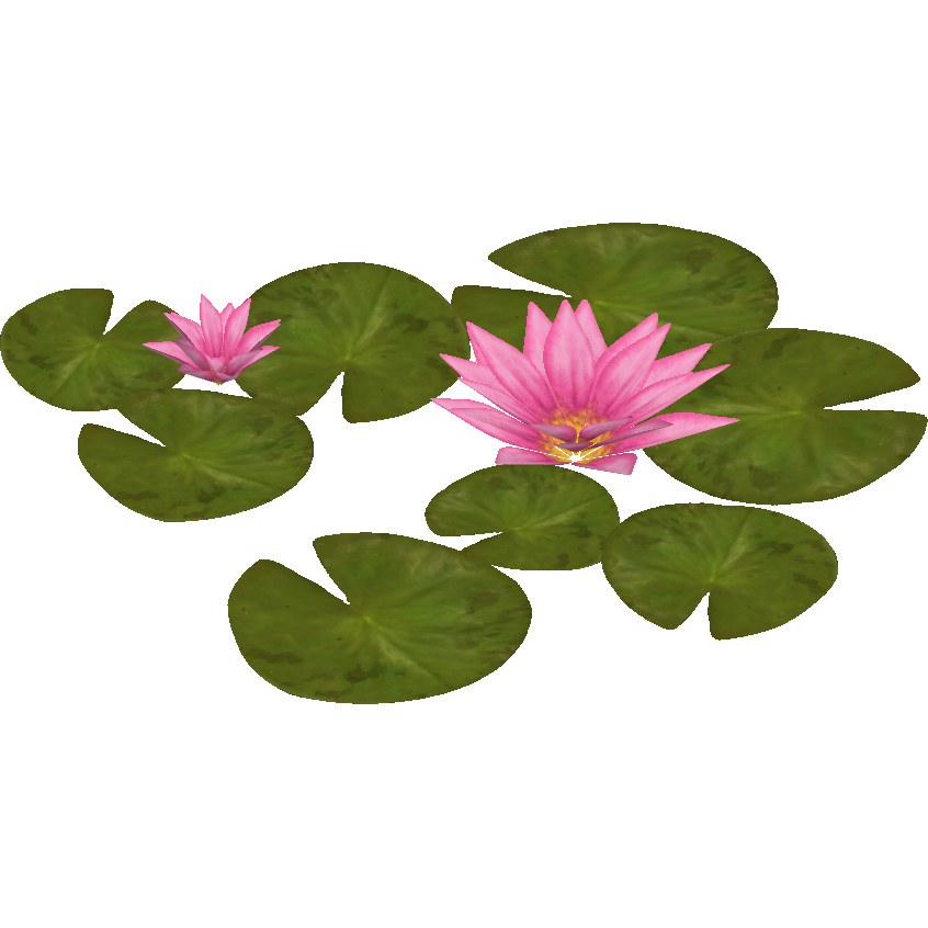 waterlily様 Water Lilies (Zeta-Designs) | ZT2 Download Library Wiki | Fandom