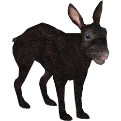 Category:Temperate Forest Animals | ZT2 Download Library Wiki | Fandom Category:Temperate Forest Animals | ZT2 Download Library Wiki | Fandom
