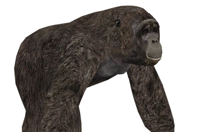 その他 FaB Barkskin of the Millennium Tree CF Lexington artist chainsaws 12-foot sculpture | News | news